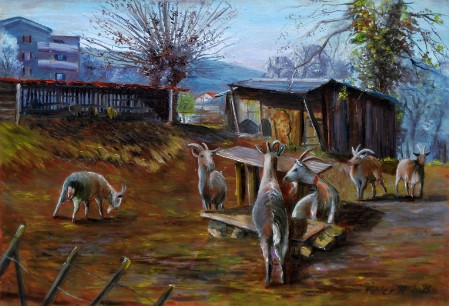 Le parc des chèvres à Christophe