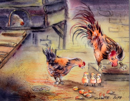 Coq et poulette admirent leurs trois poussins.